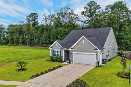 New construction Single-Family house 201 Palfrey Dr, Ridgeville, SC 29472 - image