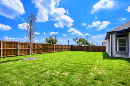 New construction Single-Family house 317 Barn Swallow Dr, Celina, TX 75009 plan 1685 - image 4