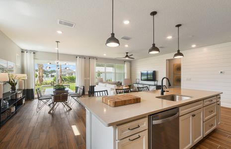 New construction Single-Family house 1205 Haven Cir, Vero Beach, FL 32960 plan Palmary - image 10