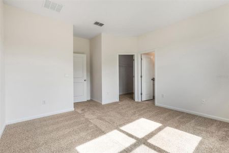 New construction Single-Family house 3772 Watercliff Cir, Grand Island, FL 32735 - image 13