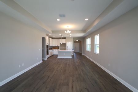 New construction Single-Family house 5762 Jeffries Way, Wesley Chapel, FL 33545 Newport II Bonus- photo 147 147