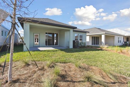 New construction Single-Family house 6075 Sacred Oak Ave, Mount Dora, FL 32757 null- photo 26 26