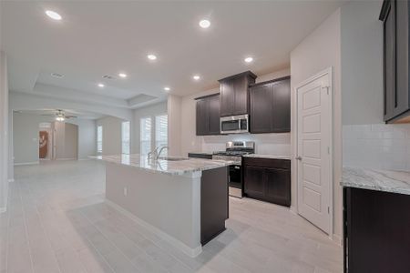 Enclave at Willis by Colina Homes in Willis - image 13