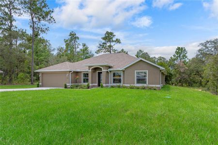 New construction Single-Family house 13048 Kittiwake Rd, Weeki Wachee, FL 34614 - image