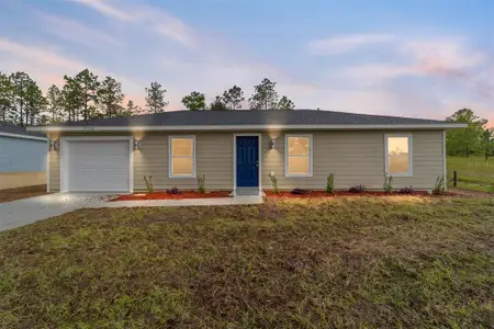 New construction Single-Family house 1473 Sw 153Rd Ct, Ocala, FL 34481 - image