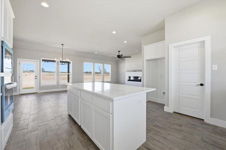 New construction Single-Family house 105 Cattleman Dr, Springtown, TX 76082 - image 9