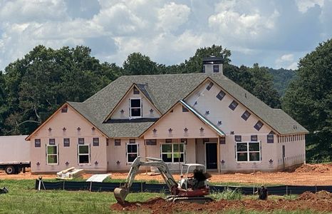 New construction Single-Family house 3356 Veal St, Roopville, GA 30170 Theodore Extended- photo 0