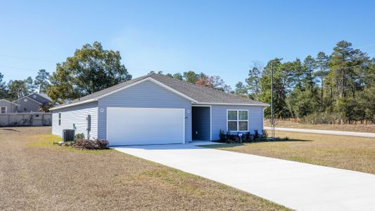 New construction Single-Family house 2253 W Price Blvd, North Port, FL 34286 plan Marigold - image