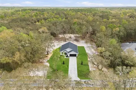 New construction Single-Family house 9342 Wheystone Dr, Webster, FL 33597 - image