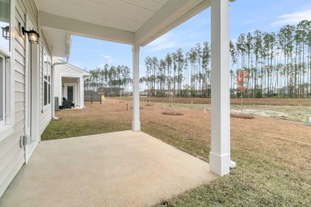 New construction Townhouse house 851 Descartes St, Summerville, SC 29486 Palmetto Homeplan- photo 26 26