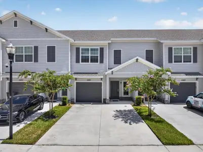 New construction Single-Family house 10821 Quickwater Ct, Riverview, FL 33569 - image 2