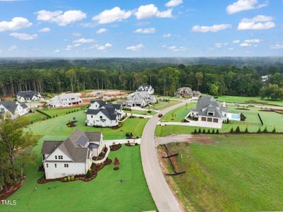 New construction Single-Family house 8909 Grand Highland Way, Wake Forest, NC 27587 - photo 71 71