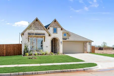 New construction Single-Family house 264 Coronado Ct, Granbury, TX 76049 plan Jasmine - image