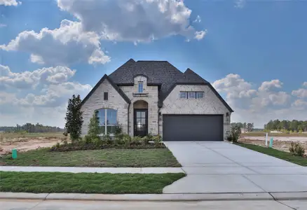 New construction Single-Family house 16614 Jolie St, Conroe, TX 77302 plan 2504W - image
