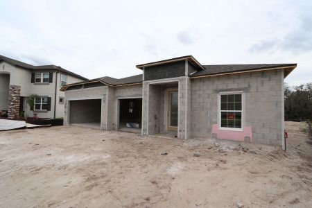 New construction Single-Family house 3116 Marine Grass Dr, Wimauma, FL 33598 Barcello- photo 27 27