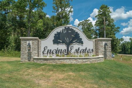 Encino Estates by Century Communities in Dayton - photo 14 14