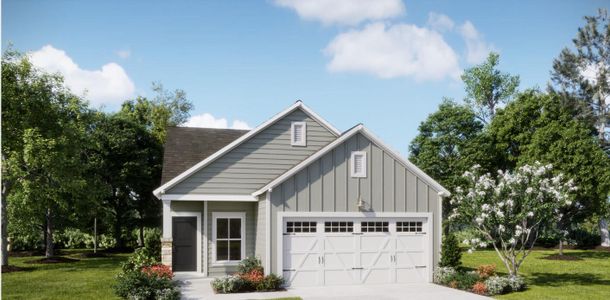 New construction Single-Family house 248 Captain Kidd Ct, Summerville, SC 29486 - image