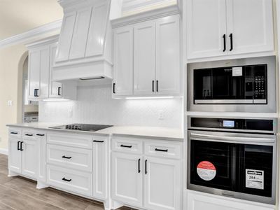 New construction Single-Family house 1065 Alex Dr, Springtown, TX 76082 null- photo 14 14