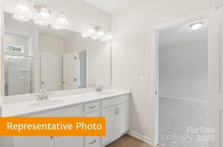 New construction Single-Family house 2159 Catawba Trace Dr, Catawba, NC 28609 - image