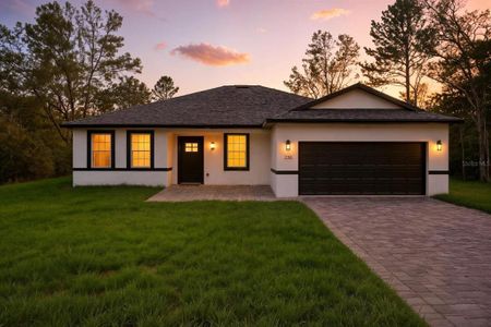 New construction Single-Family house 225 W Diego Pl, Citrus Springs, FL 34434 - image