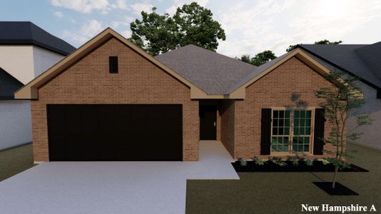 Lakepointe by BLUEHAVEN Homes in Lavon - image 13