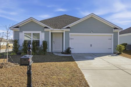 New construction Single-Family house 121 Congaree Ct Ct, Santee, SC 29142 - image