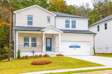 New construction Single-Family house 155 Ivey Township Dr, Dallas, GA 30132 Sherwood Basement- photo 3 3