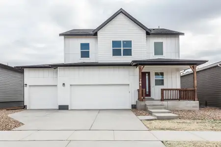 New construction Single-Family house 764 Trumpet Ct, Windsor, CO 80550 plan Rowling - image