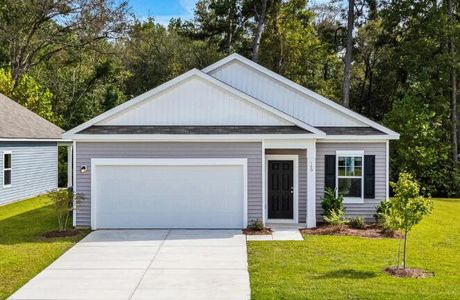 New construction Single-Family house 781 Pisces Ln, Summerville, SC 29486 plan Comet - image