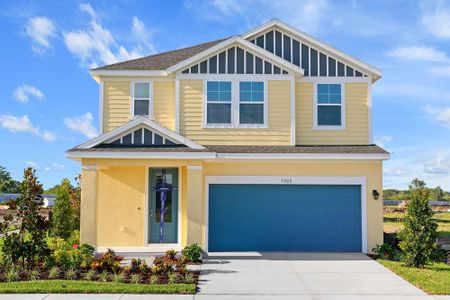 Persimmon Park - Garden Series by David Weekley Homes in Wesley Chapel - photo