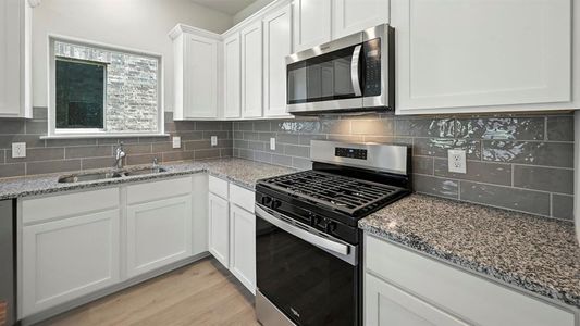 New construction Single-Family house 10421 Barron Dr, Aubrey, TX 76227 plan Aquamarine - image