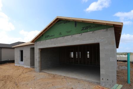 New construction Single-Family house 12263 Hilltop Farms Dr, Dade City, FL 33525 Sentinel- photo 10 10