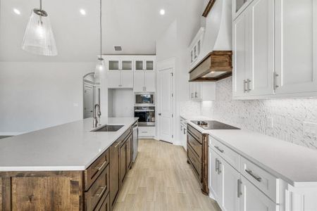 New construction Single-Family house 1064 Uplift Dr, Weatherford, TX 76087 - image 14