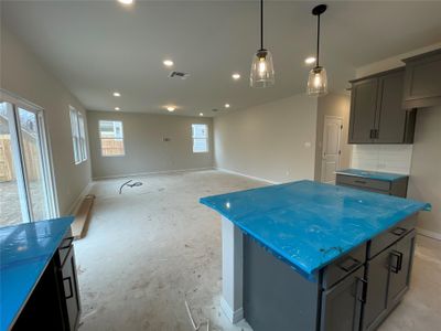 New construction Single-Family house 717 Palo Brea Lp, Hutto, TX 78634 Colton Homeplan- photo 18 18