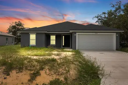 New construction Single-Family house 1204 Alafia Wy, Kissimmee, FL 34759 - image