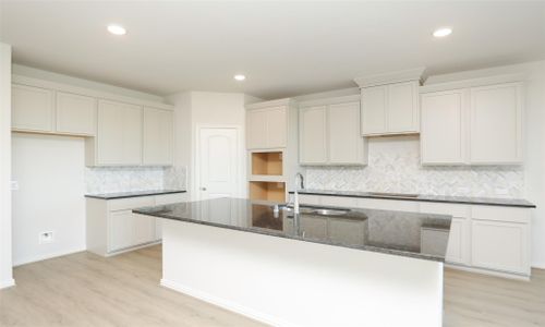 New construction Single-Family house 250 Cross Gable Ln, Dayton, TX 77535 plan Rosewood - image 13