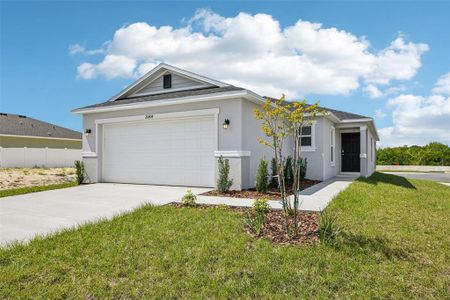 New construction Single-Family house 20404 Lavender Bloom Lp, Mount Dora, FL 32757 - image