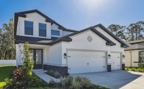 New construction Single-Family house 8201 Tilapia Pl, New Port Richey, FL 34654 plan Portofino Home Builder IN Pasco Hernando Counties - image