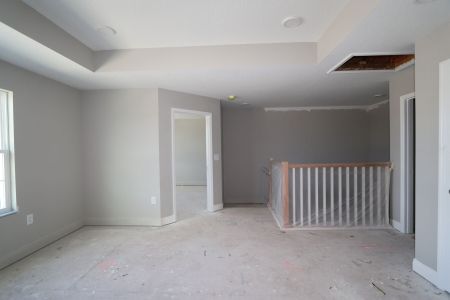 New construction Single-Family house 31236 Denham Ridge Ln, Wesley Chapel, FL 33545 Santa Monica- photo 82 82