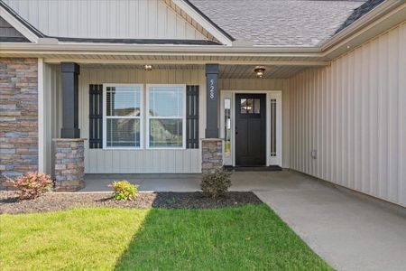 New construction Single-Family house 528 Adventure Isla Wy, Campobello, SC 29322 - image 17