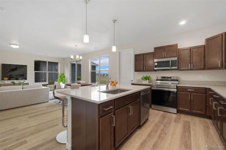 New construction Single-Family house 303 Josef Circle Ft, Fort Lupton, CO 80621 - image 7