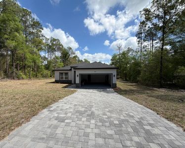 New construction Single-Family house 9905 N Odessa Wy, Dunnellon, FL 34434 - image
