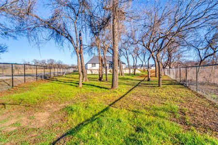 New construction Single-Family house 1000 Hennesay Park, Springtown, TX 76082 null- photo 29 29