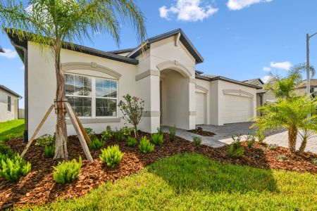 New construction Single-Family house 4774 Beachrose Way, Lakeland, FL 33811 Barcello Bonus- photo 177 177