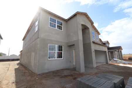 New construction Single-Family house 38338 Tobiano Loop, Dade City, FL 33525 Mira Lago- photo 73 73