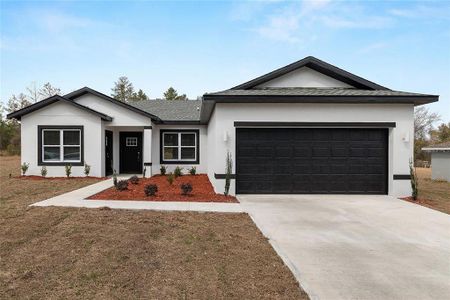 New construction Single-Family house 16965 Sw 50Th Cir, Ocala, FL 34473 - image