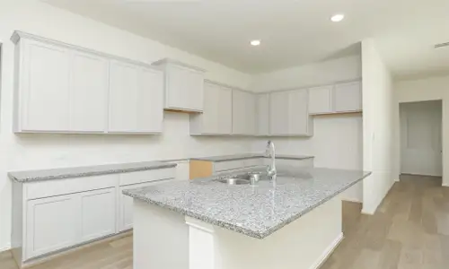 New construction Single-Family house 431 Fields Forest Ln, Dayton, TX 77535 plan Premier Series - Juniper - image