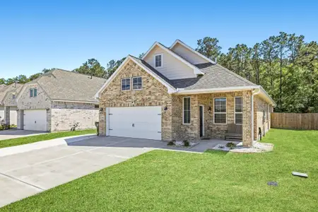 New construction Single-Family house 513 Little Spring Ct, Anahuac, TX 77514 - image