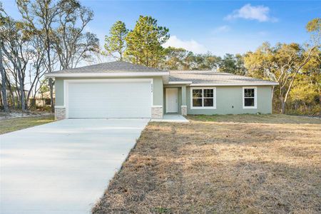 New construction Single-Family house 10586 N Spaulding Dr, Dunnellon, FL 34433 - image