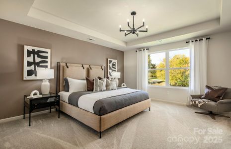 New construction Single-Family house 2032 Waxhaw Crossing Dr, Unit 253, Waxhaw, NC 28173 - image